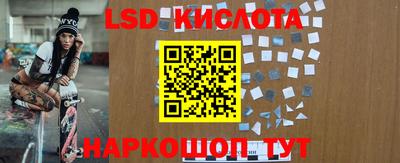 шишки Владивосток