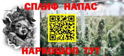 шишки Владивосток